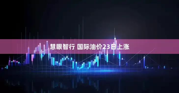 慧眼智行 国际油价23日上涨