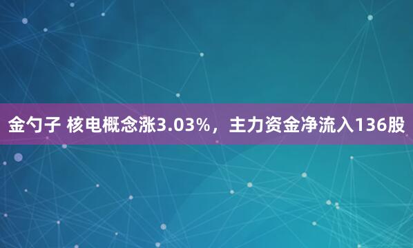 金勺子 核电概念涨3.03%，主力资金净流入136股