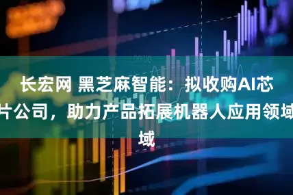 长宏网 黑芝麻智能：拟收购AI芯片公司，助力产品拓展机器人应用领域