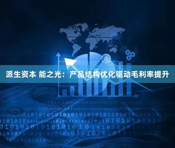 派生资本 能之光：产品结构优化驱动毛利率提升