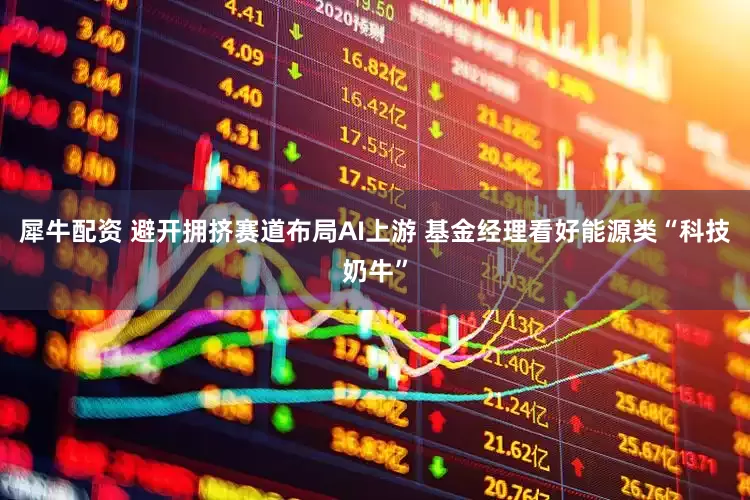 犀牛配资 避开拥挤赛道布局AI上游 基金经理看好能源类“科技奶牛”