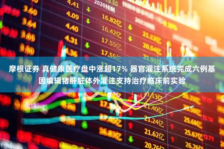 摩根证券 真健康医疗盘中涨超17% 器官灌注系统完成六例基因编辑猪肝脏体外灌注支持治疗临床前实验